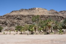 Африканский калейдоскоп. Часть 6