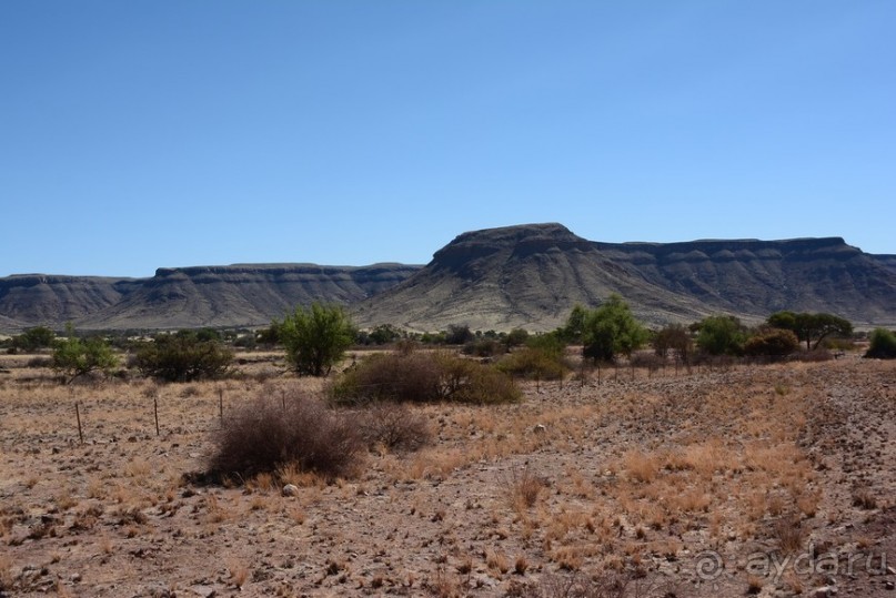 Африканский калейдоскоп. Часть 6