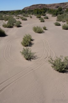 Африканский калейдоскоп. Часть 6