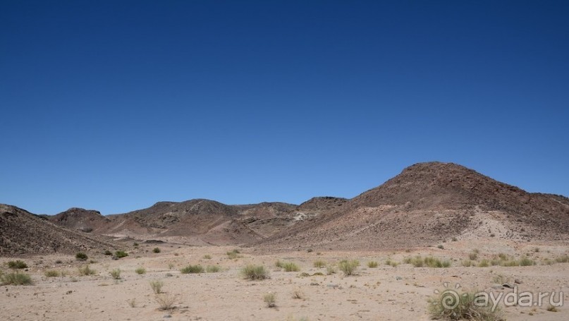 Альбом отзыва "Африканский калейдоскоп. Часть 6"