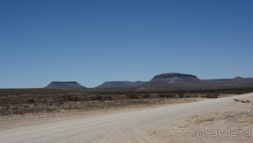 Альбом отзыва "Африканский калейдоскоп. Часть 6"