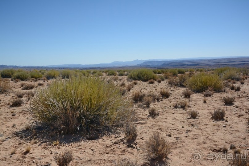 Альбом отзыва "Африканский калейдоскоп. Часть 6"