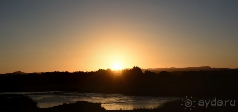 Альбом отзыва "Африканский калейдоскоп. Часть 6"