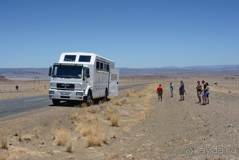 Альбом отзыва "Африканский калейдоскоп. Часть 6"