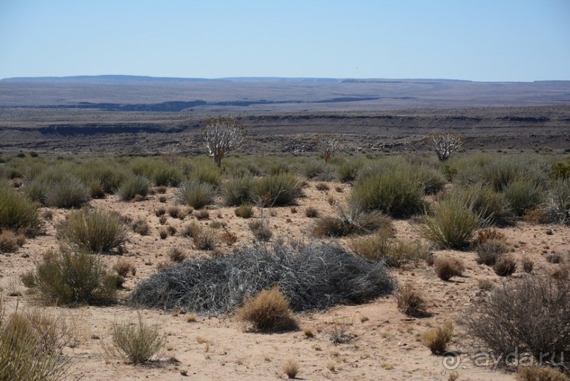 Альбом отзыва "Африканский калейдоскоп. Часть 6"