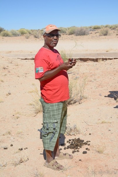 Альбом отзыва "Африканский калейдоскоп. Часть 6"