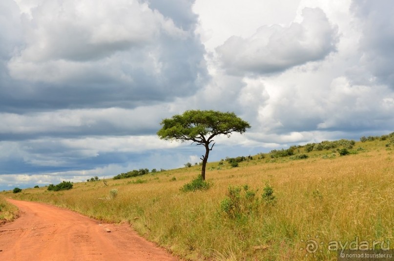 Акуна матата — дубль два. Кения в сезон дождей. Часть 1