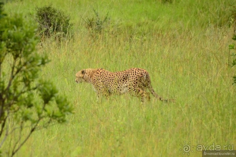 Акуна матата — дубль два. Кения в сезон дождей. Часть 1