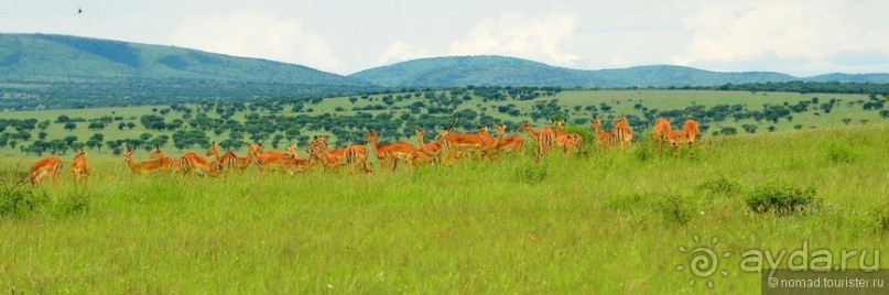 Акуна матата — дубль два. Кения в сезон дождей. Часть 1