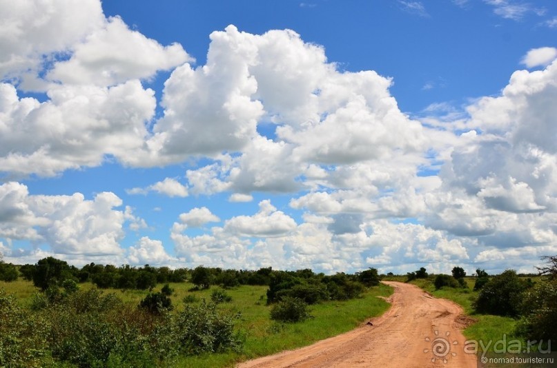 Акуна матата — дубль два. Кения в сезон дождей. Часть 1