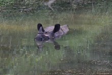Затерянные Гималаи, Непал-Бутан. Часть 6