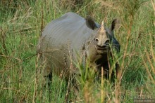 Затерянные Гималаи, Непал-Бутан. Часть 6
