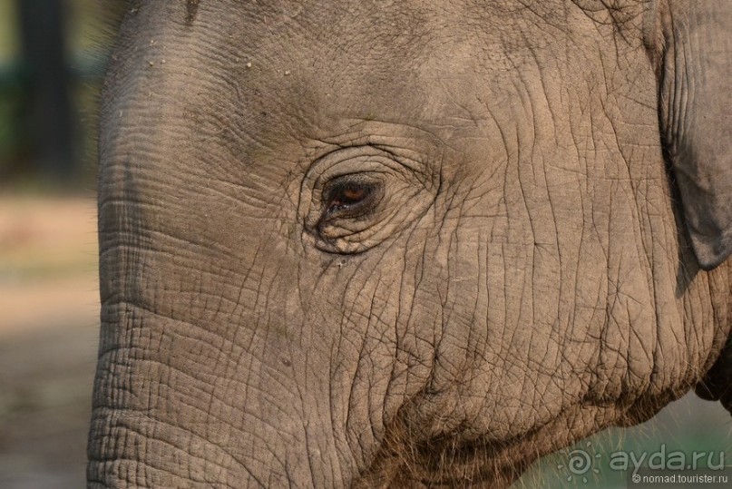 Затерянные Гималаи, Непал-Бутан. Часть 6