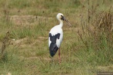Затерянные Гималаи, Непал-Бутан. Часть 6