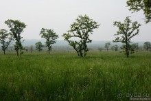 Затерянные Гималаи, Непал-Бутан. Часть 6