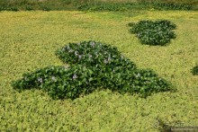 Затерянные Гималаи, Непал-Бутан. Часть 6