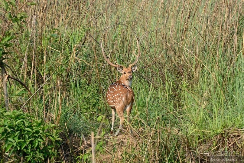 Затерянные Гималаи, Непал-Бутан. Часть 6