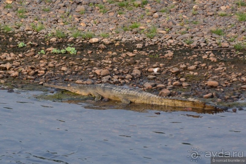 Затерянные Гималаи, Непал-Бутан. Часть 6