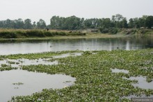 Затерянные Гималаи, Непал-Бутан. Часть 6