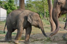 Затерянные Гималаи, Непал-Бутан. Часть 6