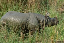 Затерянные Гималаи, Непал-Бутан. Часть 6