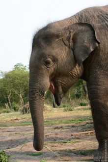 Затерянные Гималаи, Непал-Бутан. Часть 6