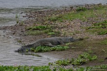 Затерянные Гималаи, Непал-Бутан. Часть 6