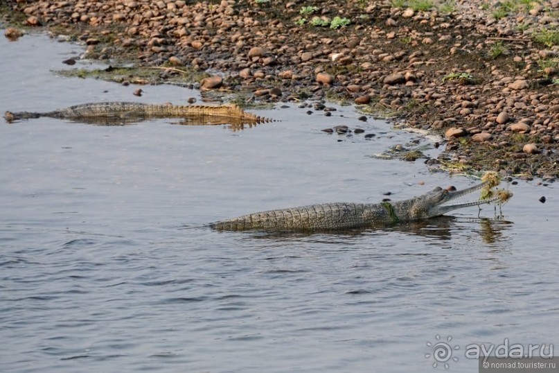 Затерянные Гималаи, Непал-Бутан. Часть 6