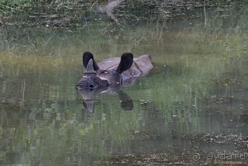 Затерянные Гималаи, Непал-Бутан. Часть 6