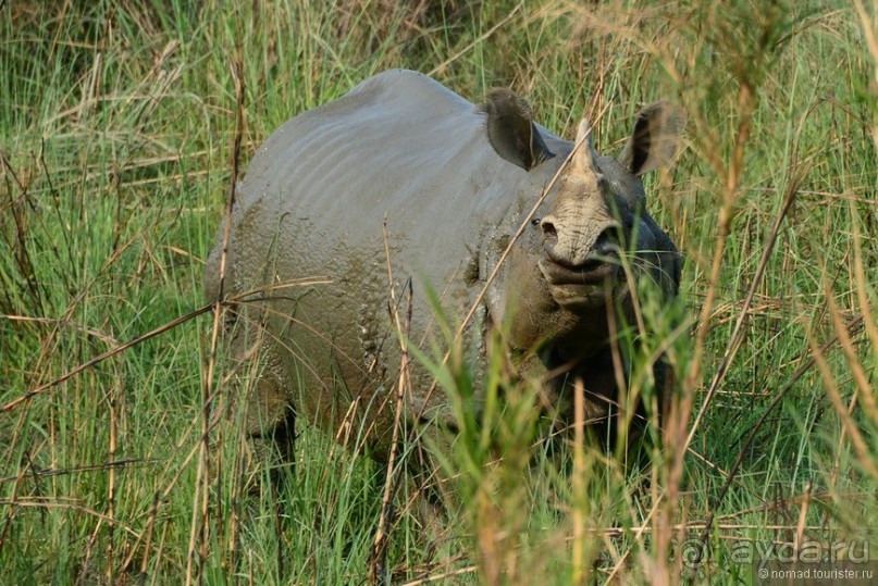 Затерянные Гималаи, Непал-Бутан. Часть 6