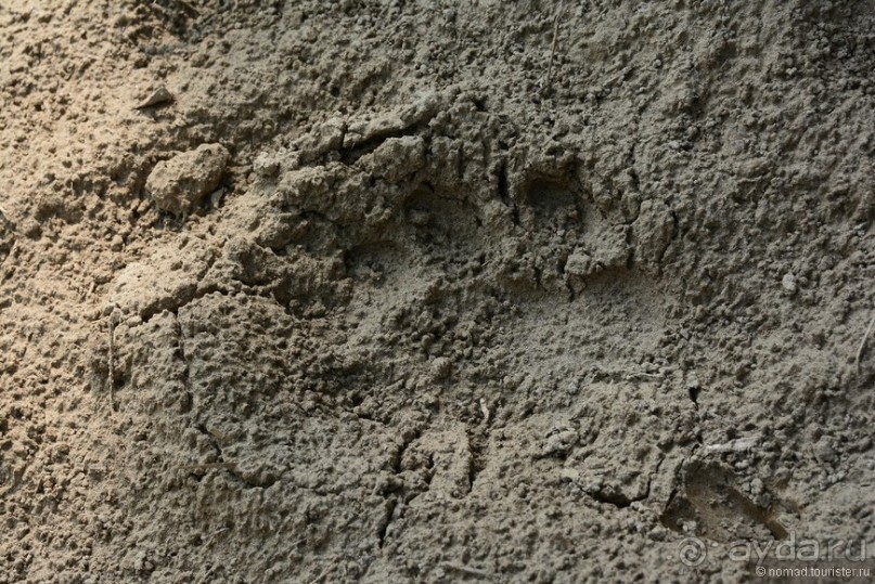 Затерянные Гималаи, Непал-Бутан. Часть 6