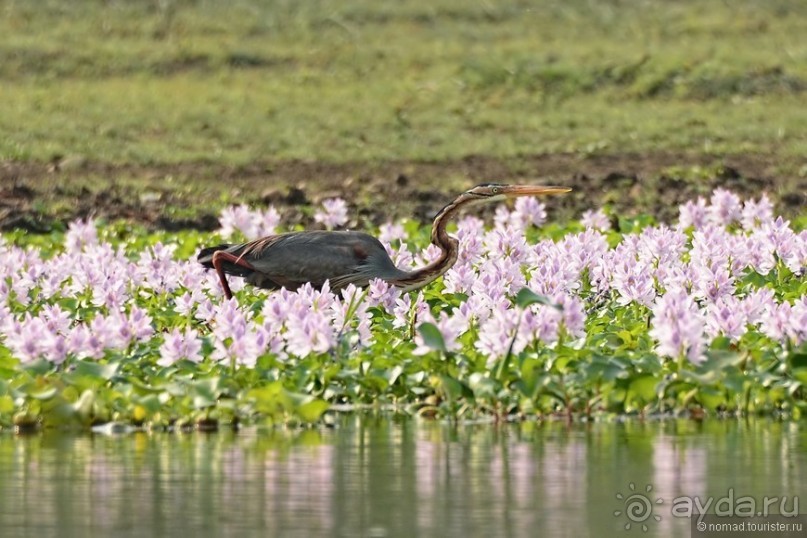 Затерянные Гималаи, Непал-Бутан. Часть 6
