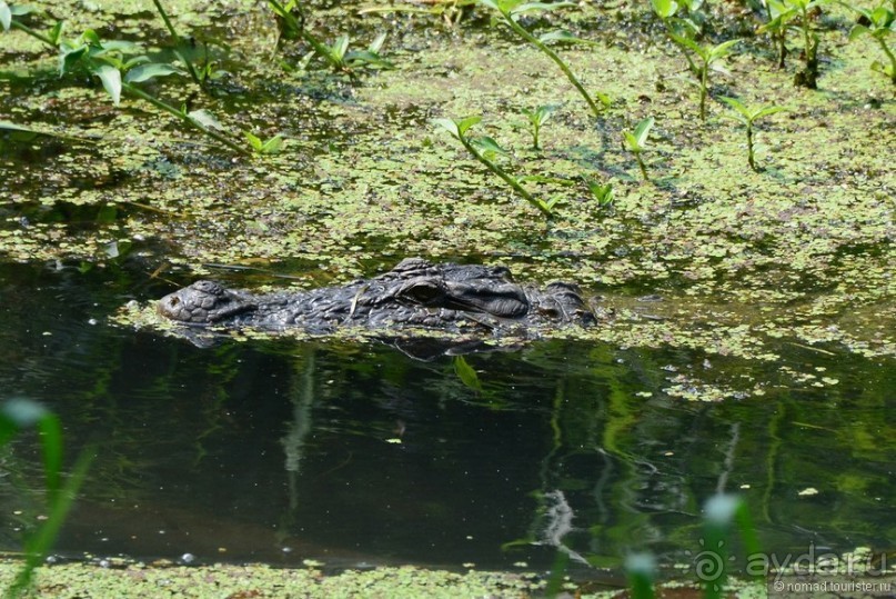 Затерянные Гималаи, Непал-Бутан. Часть 6
