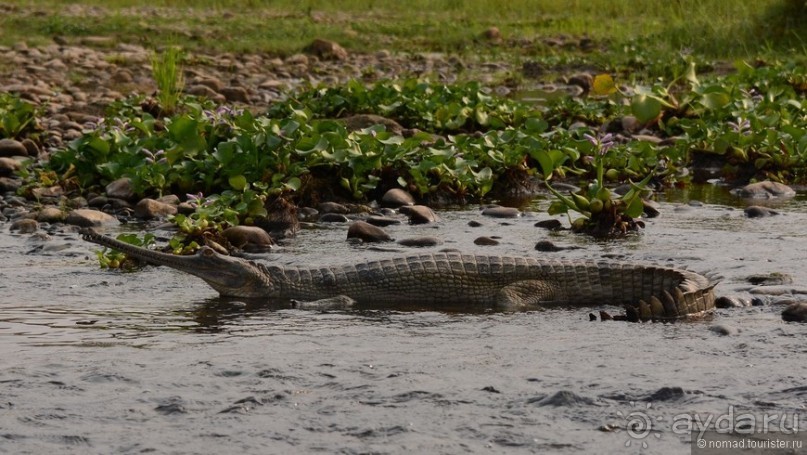 Затерянные Гималаи, Непал-Бутан. Часть 6
