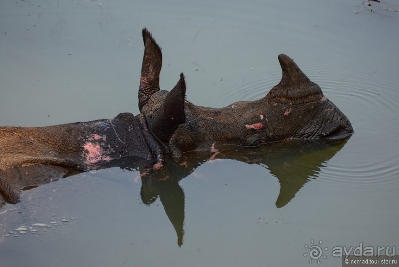 Затерянные Гималаи, Непал-Бутан. Часть 6