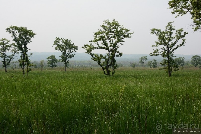 Затерянные Гималаи, Непал-Бутан. Часть 6