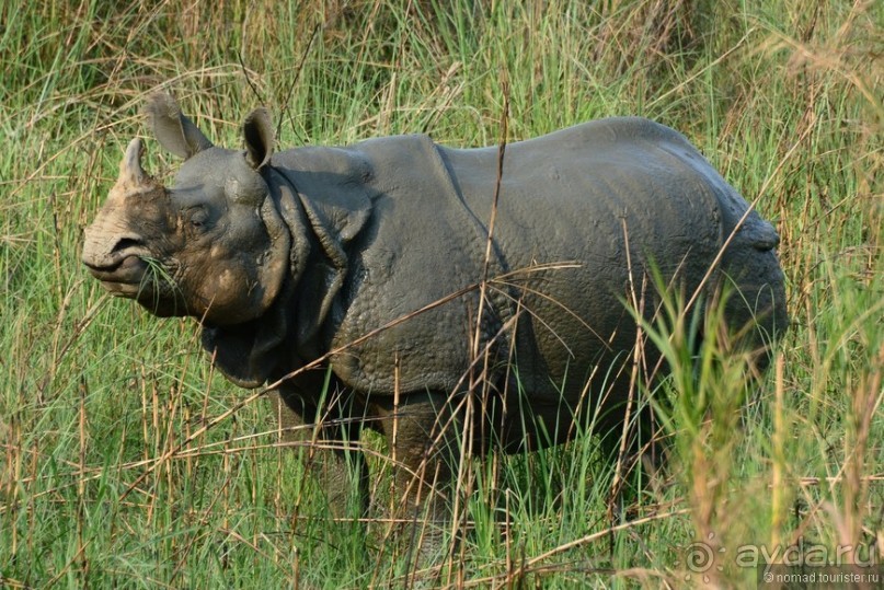 Затерянные Гималаи, Непал-Бутан. Часть 6