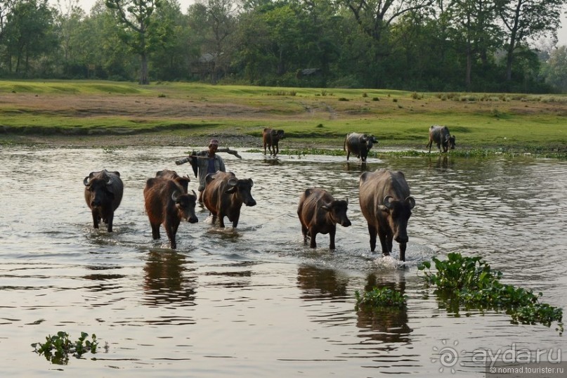 Затерянные Гималаи, Непал-Бутан. Часть 6