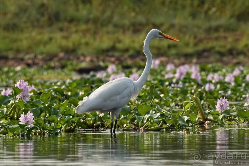 Затерянные Гималаи, Непал-Бутан. Часть 6