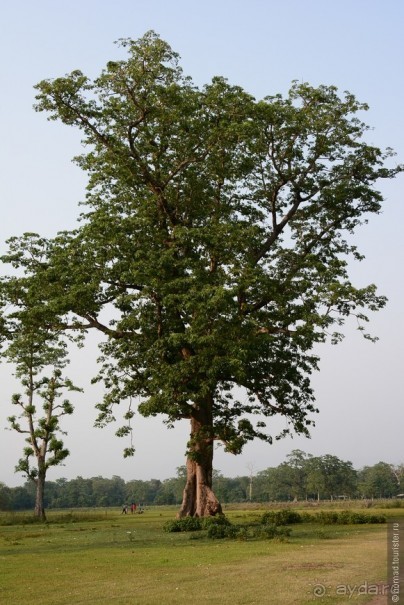 Затерянные Гималаи, Непал-Бутан. Часть 6