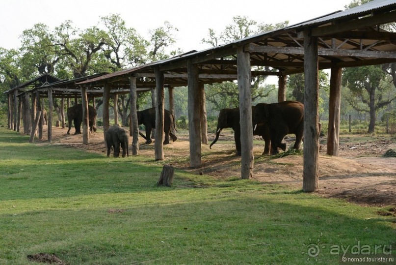Затерянные Гималаи, Непал-Бутан. Часть 6