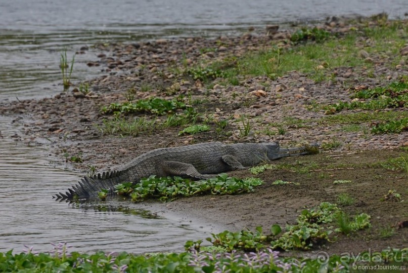 Затерянные Гималаи, Непал-Бутан. Часть 6