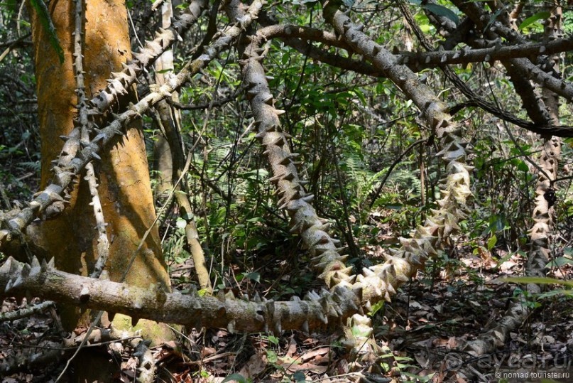 Затерянные Гималаи, Непал-Бутан. Часть 6