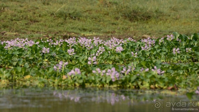 Затерянные Гималаи, Непал-Бутан. Часть 6