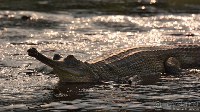 Затерянные Гималаи, Непал-Бутан. Часть 6
