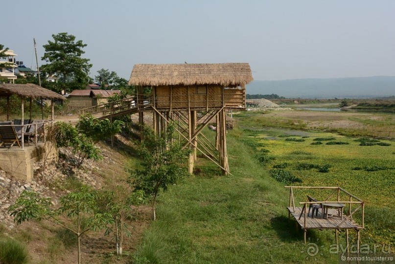 фото Читвана