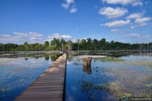 ТАИЛАНДиЯ. Часть 11, камбоджийская