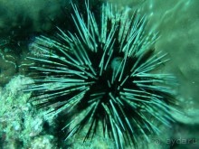 Древние храмы и вечные пляжи. Часть 7