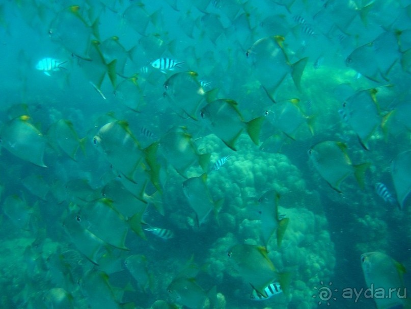 Древние храмы и вечные пляжи. Часть 7