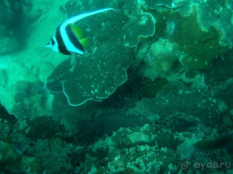 Древние храмы и вечные пляжи. Часть 7